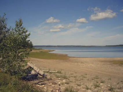 Picture
