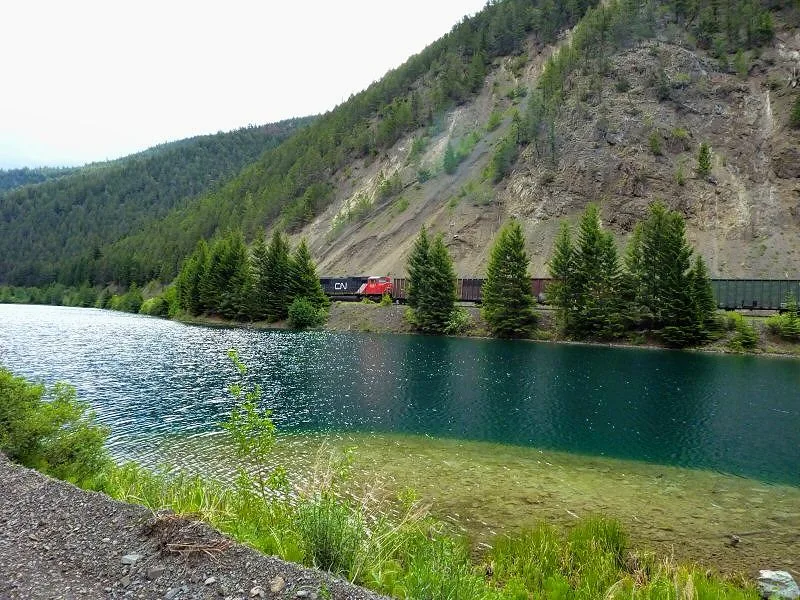 Picture